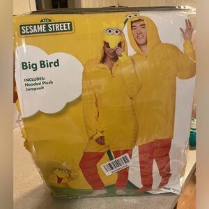 Big bird costume 💛